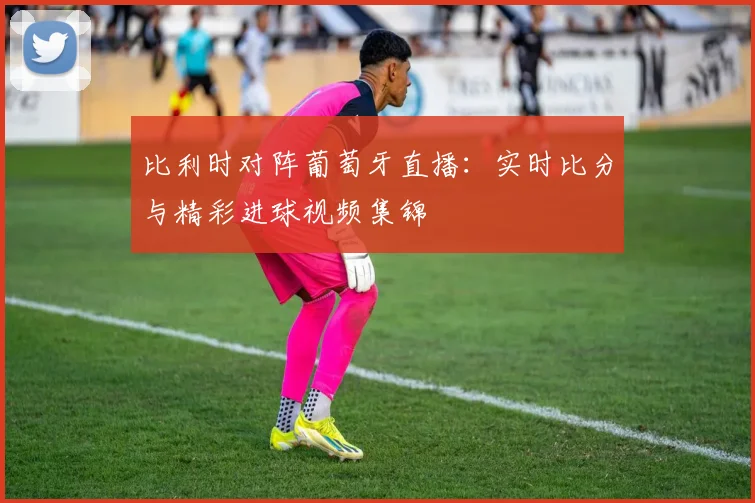 比利时对阵葡萄牙直播：实时比分与精彩进球视频集锦