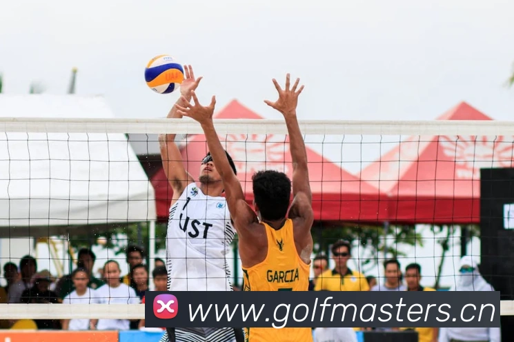 App Interface Preview